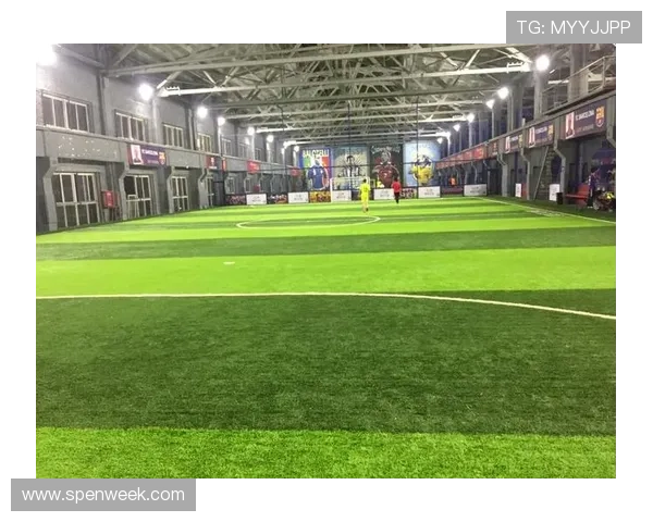 博天堂足球软件分析：结合实际案例探讨足球软件的优势与不足