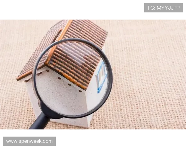 博彩网平台涉嫌非法集资案引发广泛关注，相关部门展开全面调查